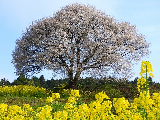 佐賀県