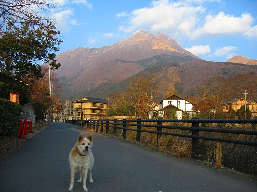夕焼けの由布岳