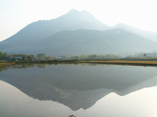 逆さ由布岳