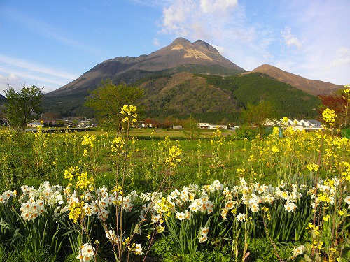 由布岳