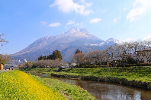 由布岳と菜の花と川