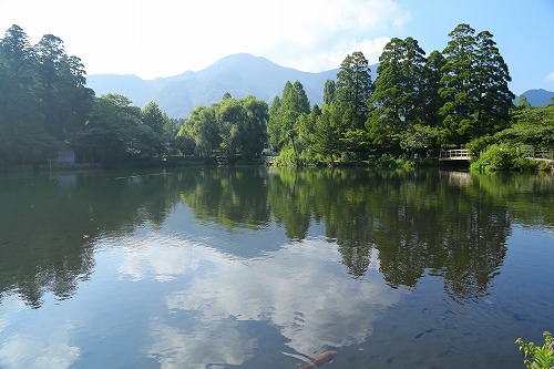金鱗湖8