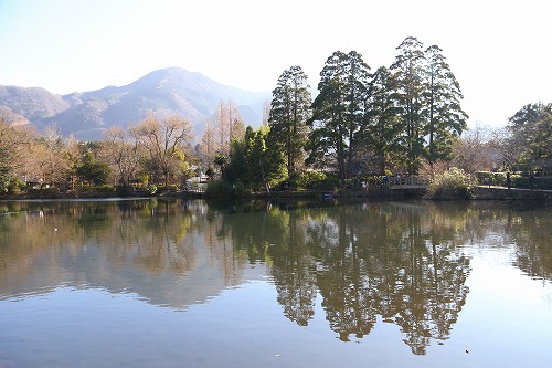 金鱗湖9