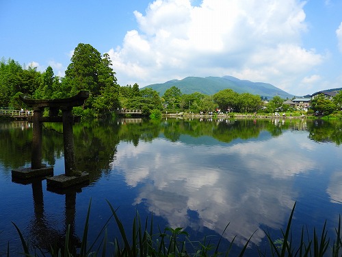 金鱗湖2