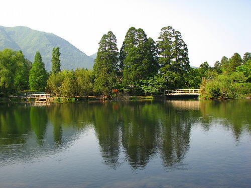 金鱗湖4