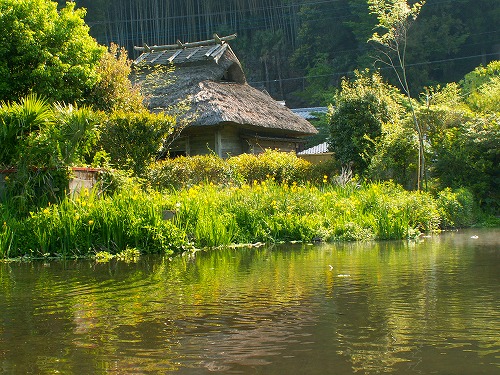金鱗湖3