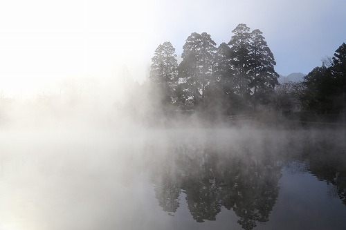 朝霧金鱗湖6