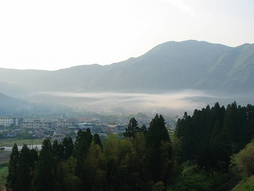 朝霧8