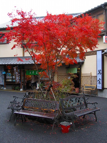湯の坪横丁7