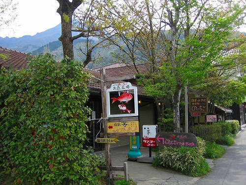 お魚広場7