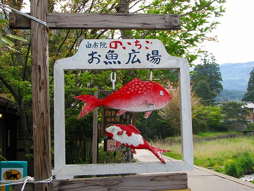 お魚広場1