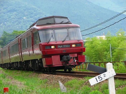 由布デラックス