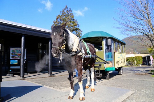 観光辻馬車3