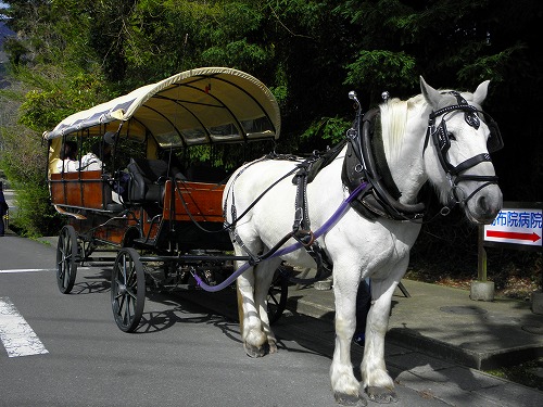 観光辻馬車4