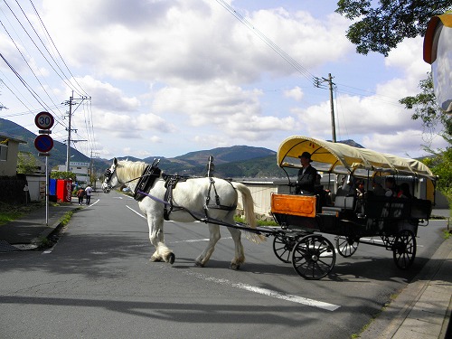 観光辻馬車5