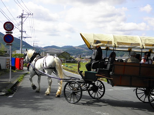 観光辻馬車7