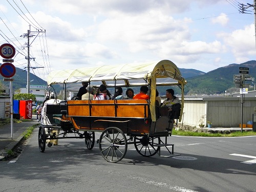 観光辻馬車8
