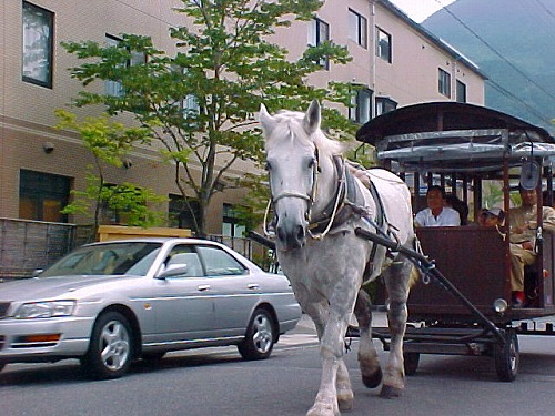 観光辻馬車11