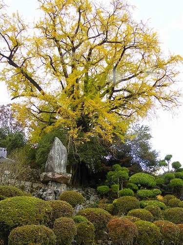 佛光寺3