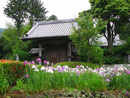 見成寺2