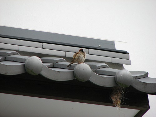 見成寺10