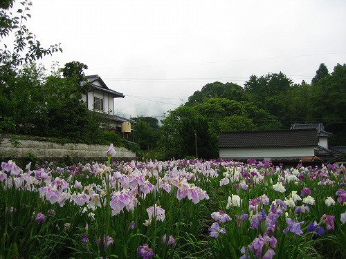 見成寺9