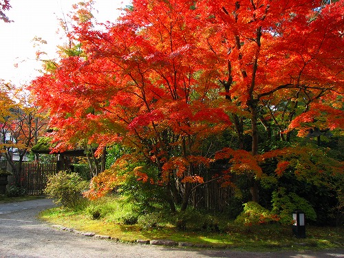 亀の井別荘4