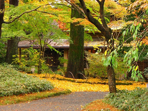 亀の井別荘6
