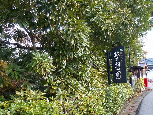 夢想園9