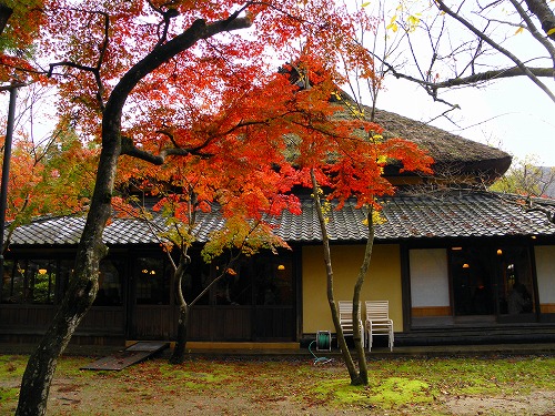 湯の岳庵4