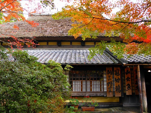 湯の岳庵2