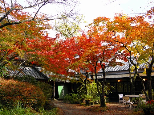 湯の岳庵3