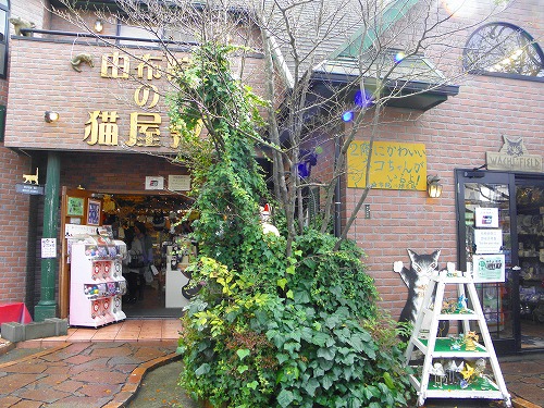 猫屋敷10