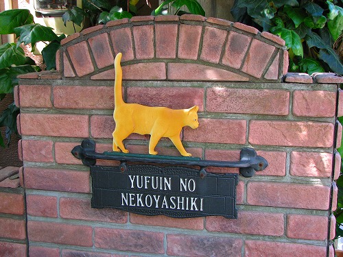 猫屋敷6