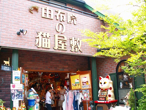 猫屋敷11