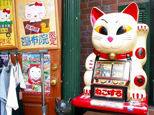 猫屋敷4